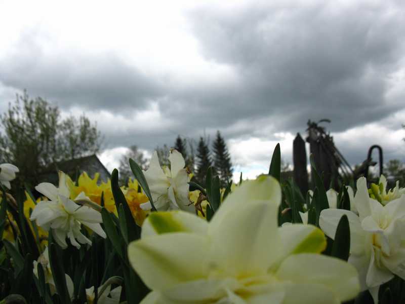 ����  